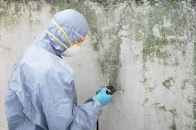 Lanark, IL Mold Removal Company